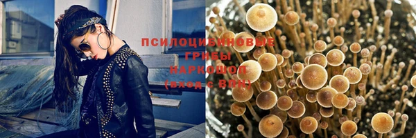скорость Белокуриха